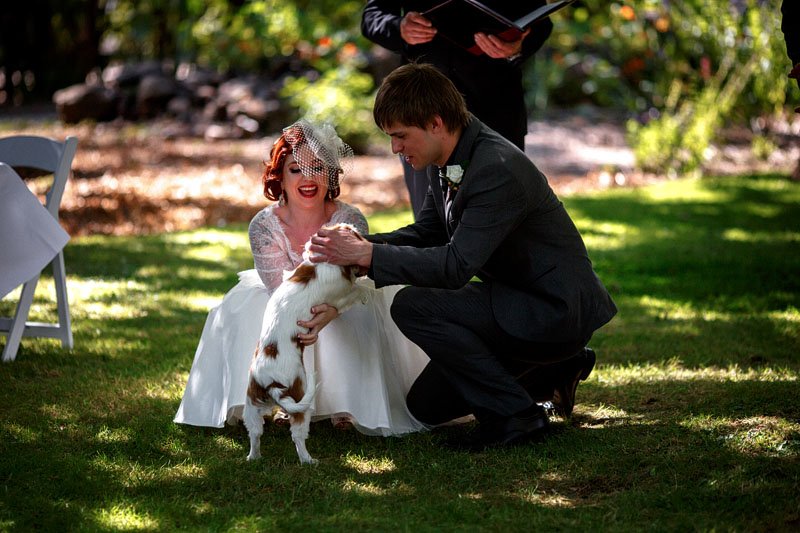 mark and raand#039;s offbeat wedding in westbury, tasmania (59)
