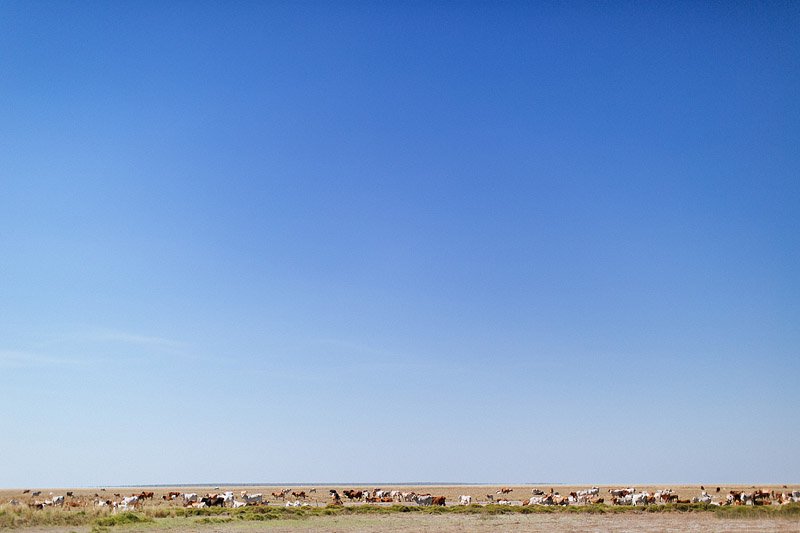 Kara and Bart's DIY Wedding in Broome