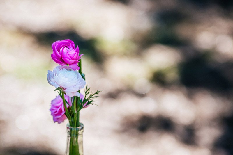 Joel and Laura's backyard wedding on a farm in Parkes in country New South Wales photographed by Melbourne Wedding Photographer Lakshal Perera